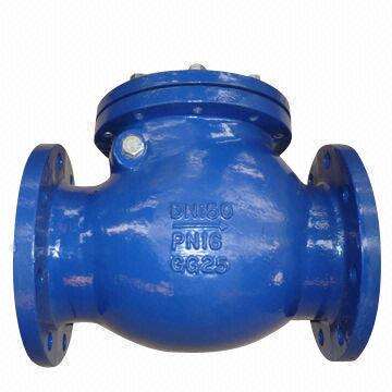 DIN F6 Swing Check Valves with Cast Iron Body