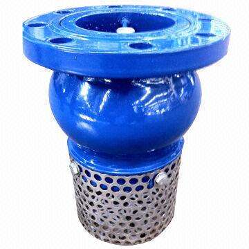 Ductile Iron Foot Check Valve with Mesh