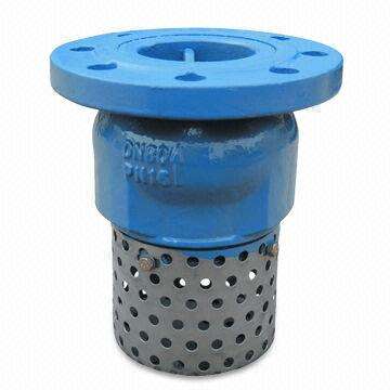 Foot Valve with Ductile Iron/Rubber Disc, Spring and Stainless Steel Sleeve
