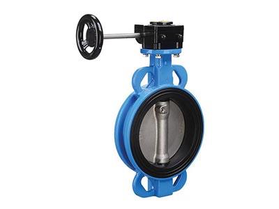 Wafer concentric Butterfly Valve