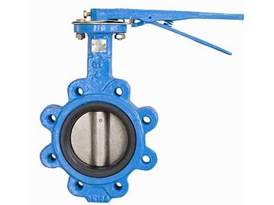 Lug Handle/Gear Concentric Butterfly Valve