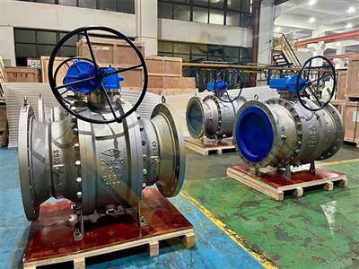 Trunnion Flange Reduced Bore Ball Valve with Worm Gear