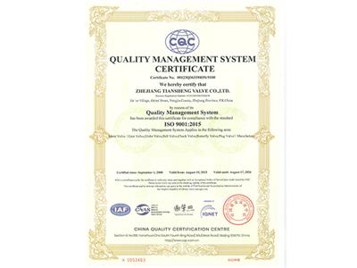 ISO 9001