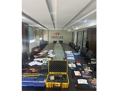 An authoritative third-party expert arrived, directly inspecting TSV processing technology flow