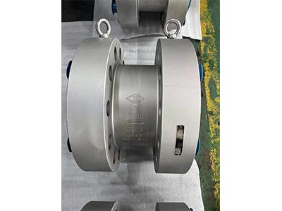 High Pressure Forged Stainless Steel Flange Check Valves