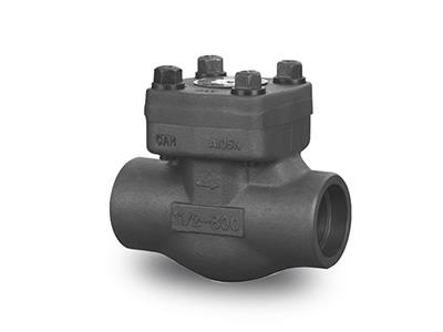 Forged Steel SW/NPT Check Valve
