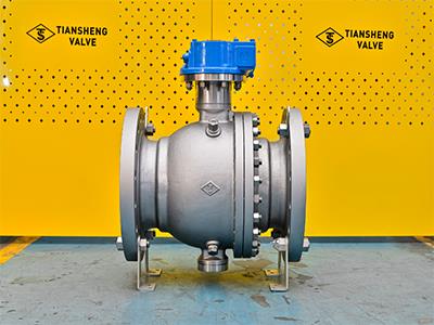 Reduced Bore Stainless Steel Trunnion Ball Valve