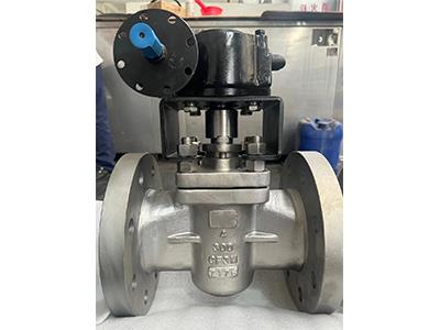 Sleeve Type Soft Sealing Plug Valve ANSI 