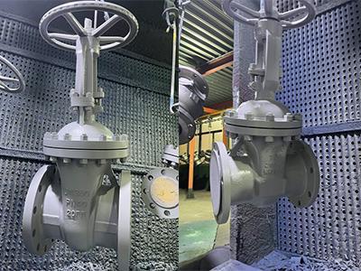 Flanged Cast Steel 20GL Russian standard gate valve