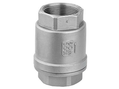 2Pcs Vertical Thread Ends Lift Check Valve