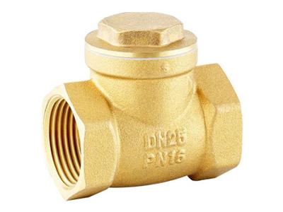 Brass Thread End NPT/BSPT Swing Check Valve